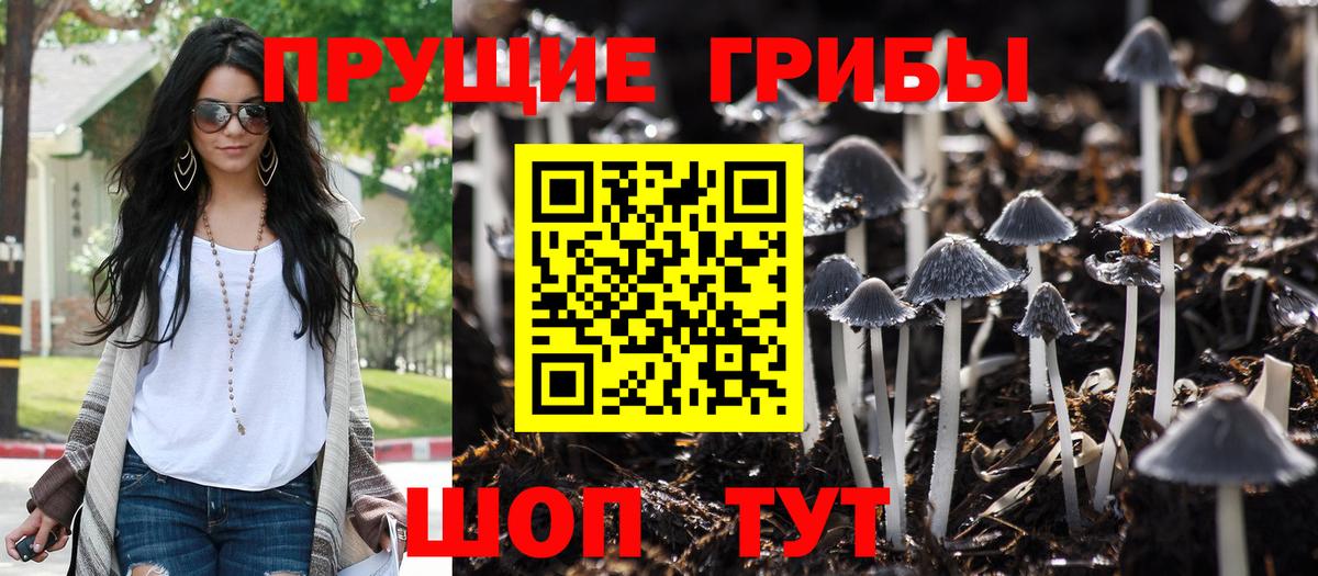 Псилоцибиновые грибы Psilocybe  Вход с VPN  Георгиевск 