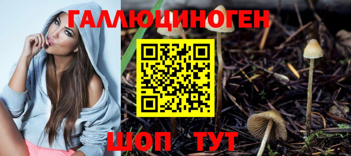 Галлюциногенные грибы мицелий Георгиевск