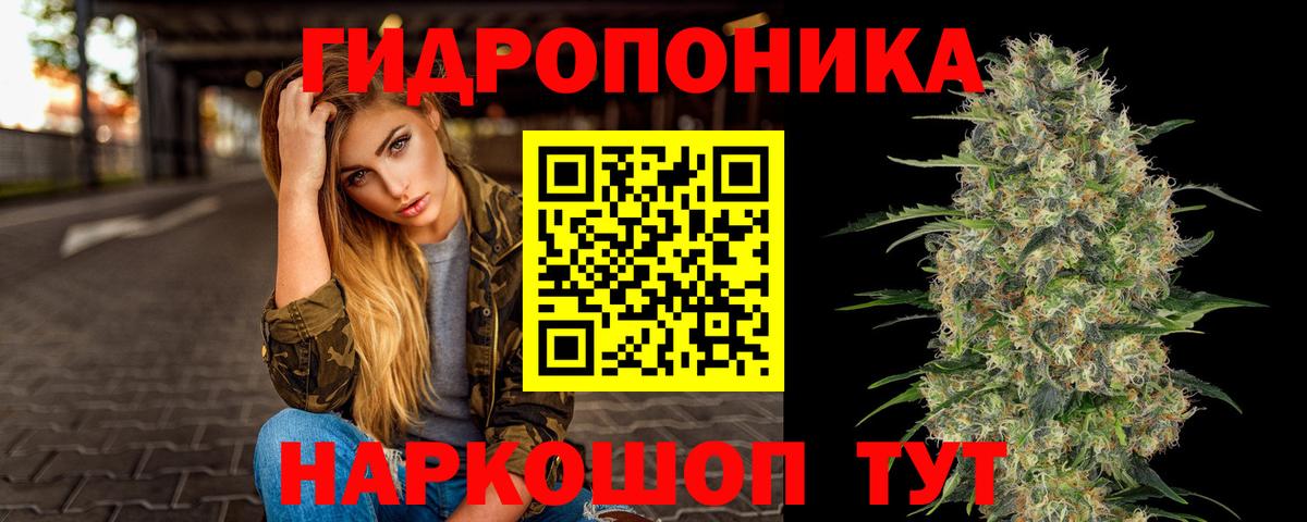 Каннабис OG Kush  Бошки марихуана конопля  Вход с VPN  Конопля OG Kush  Георгиевск  Канабис тримм 
